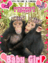baby chimps
