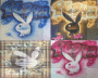Playboy Playboy