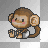 baby monkey