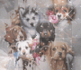 Multi breed dog background