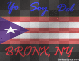 Bronx NY