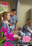 Greys Anatomy