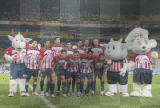 chivas