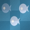 fishies
