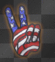 peace hand