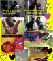 {{{B3ST FR3AK!N FR!3NDS}}}