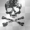 skull skull