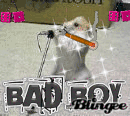 party lika rat star!