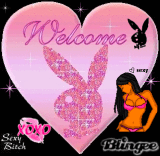 Welcome!