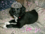 princess