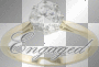 Engaged