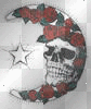 skull