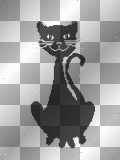 smiling black cat