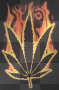 Burning leaf