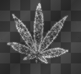 Bling Bud