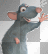 Rat