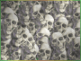 skulls