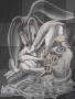 G bunny