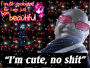 fgsrt