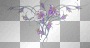 Purple Lilies Purple Lilies
