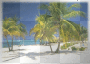 white sand beach
