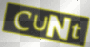 cunt