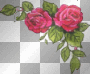 Rose Frame
