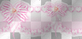 Baby girl border/frame