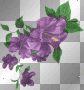 Purple flowers