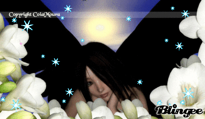 fairy fairy