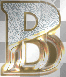 the letter b