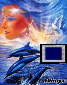 dolphin