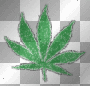 pot leaf