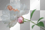 baby flower