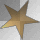 GOLD STAR 2