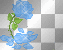 blue rose