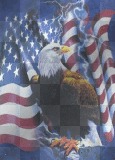 US Flag and American Eagle