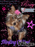 Roxy's Thinking of You