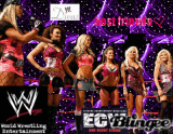 wwe DIVAS INTRODUCING THE THROW IT ON ME VIDEO!