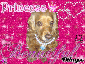 danzka
