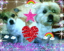 BROWNIE AND YOGIE