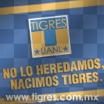 tigre de corazon