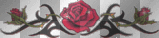 tribal rose