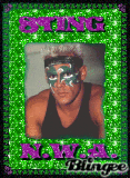 STING-GREEN-NWA