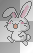 rabbit