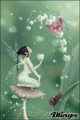 cute fairy cute fairy