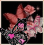 Butterflies Butterflies