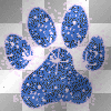 paw