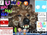 Funny Dog! (: