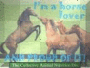 horse